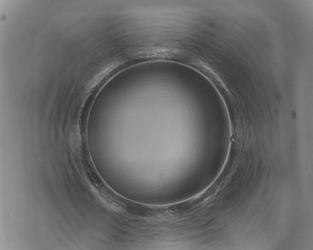 X0000074940674200609011116