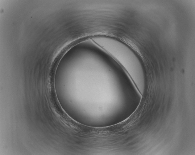 X0000074940676200609011116