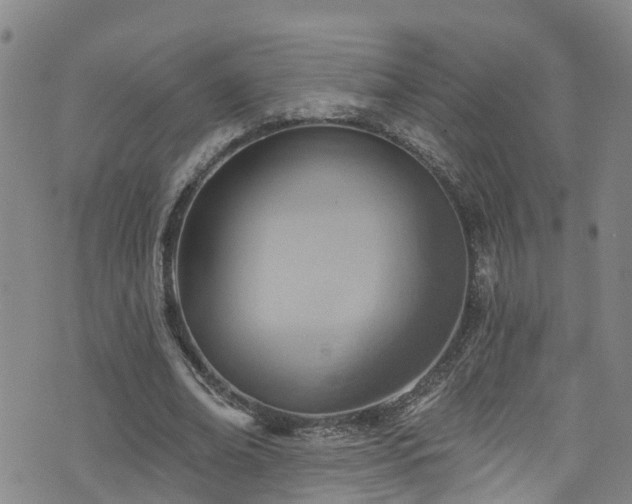 X0000074940678200609011116