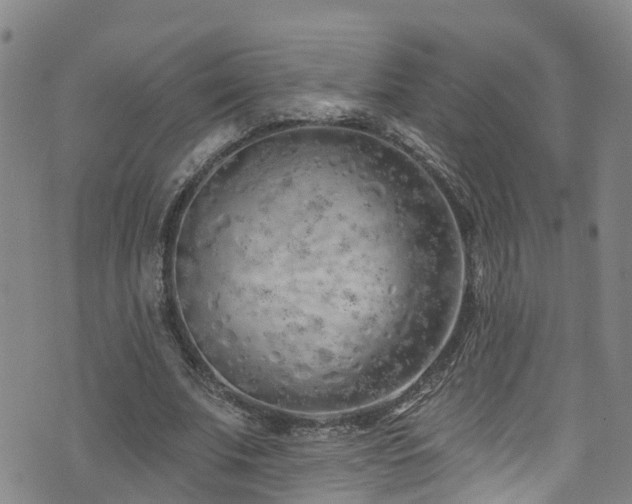 X0000074940679200609011116