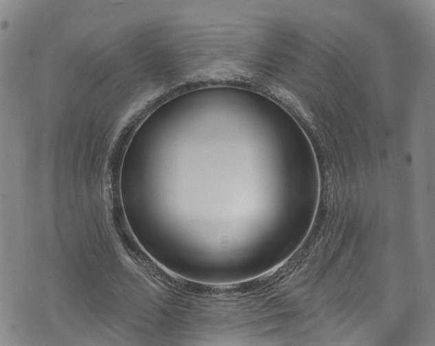 X0000074940680200609011116