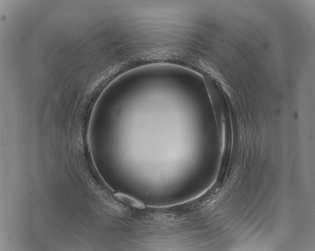 X0000074940681200609011116