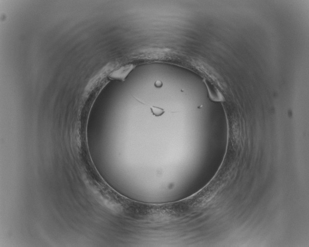 X0000074940682200609011116