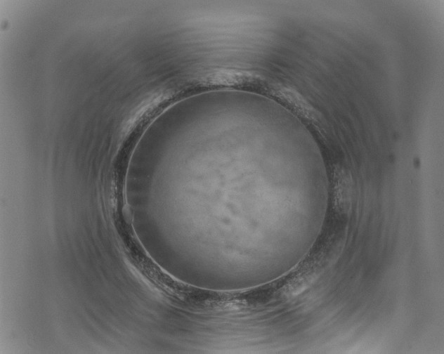 X0000074940683200609011116