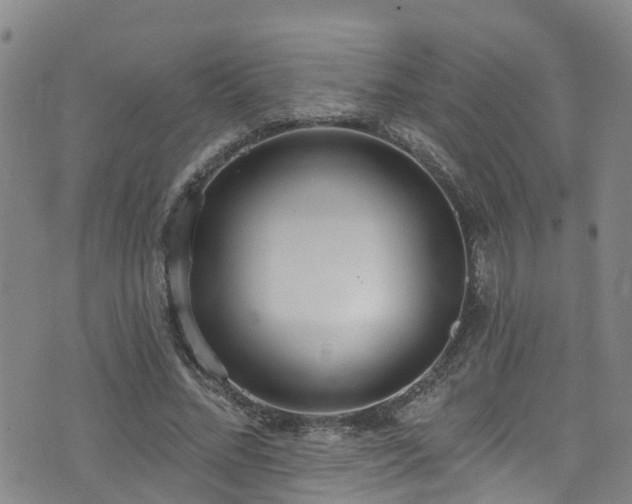 X0000074940684200609011116