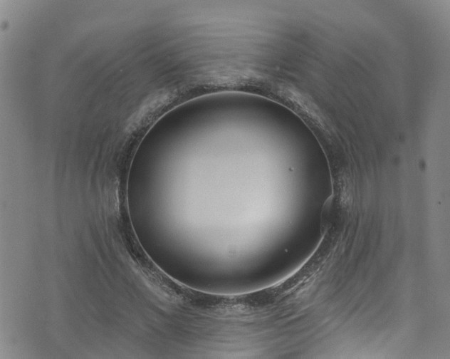 X0000074940685200609011116