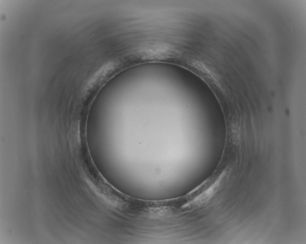 X0000074940686200609011116