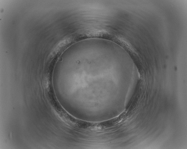 X0000074940687200609011116