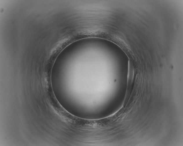 X0000074940688200609011116