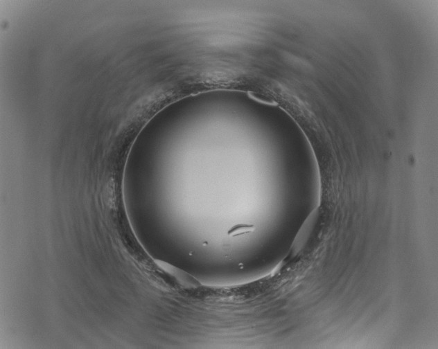 X0000074940689200609011116