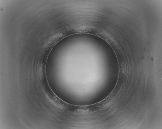 X0000074940690200609011116