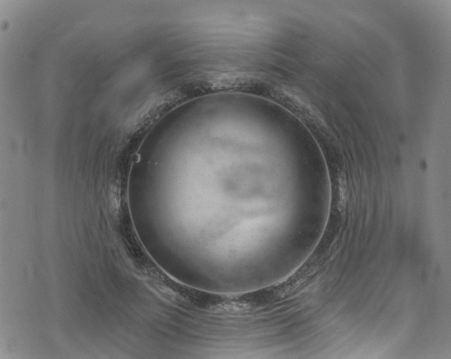 X0000074940691200609011116