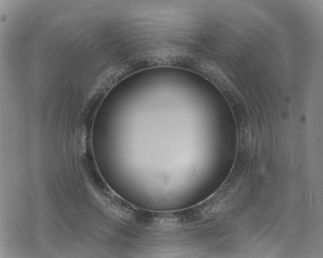 X0000074940694200609011116