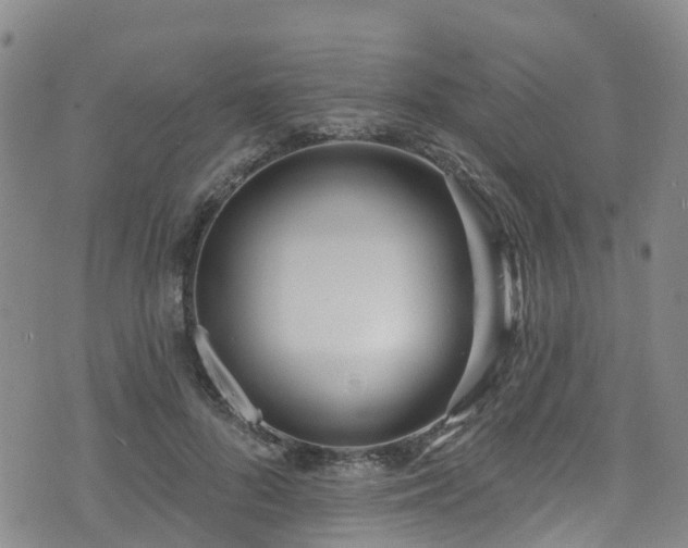 X0000074940696200609011116