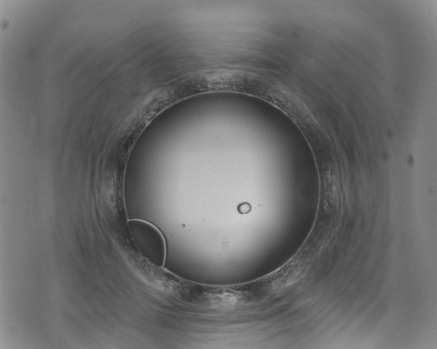 X0000074940698200609011116