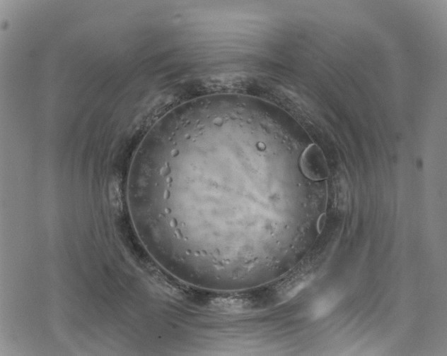 X0000074940699200609011116