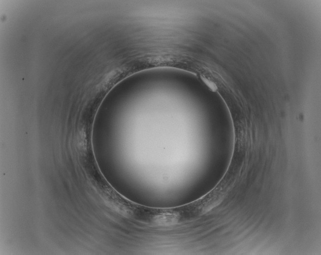 X0000074940700200609011116