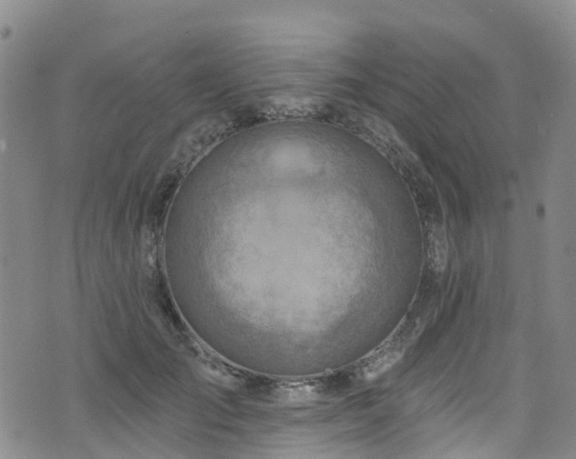 X0000074940701200609011116