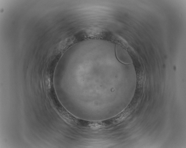 X0000074940703200609011116