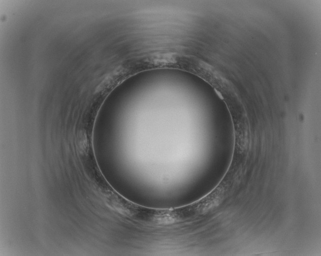 X0000074940704200609011116