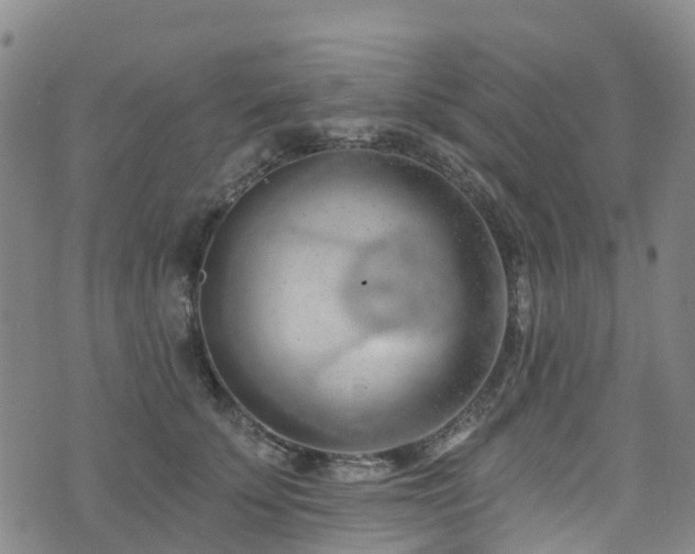 X0000074940707200609011116