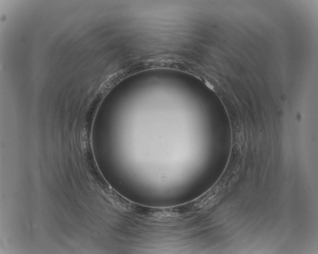 X0000074940708200609011116