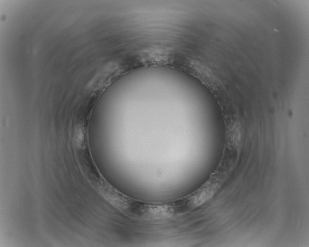 X0000074940709200609011116