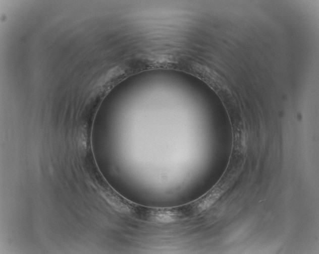 X0000074940710200609011116