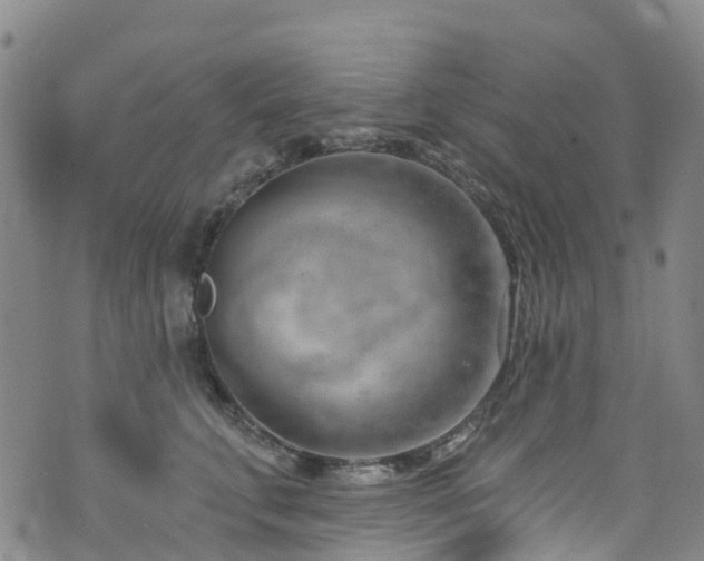 X0000074940711200609011116