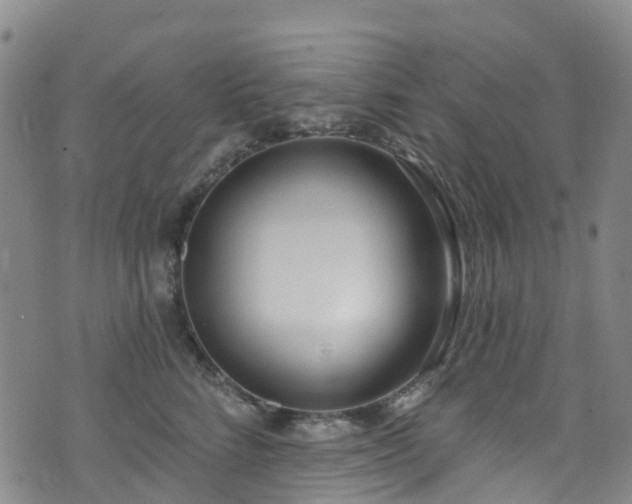 X0000074940712200609011116