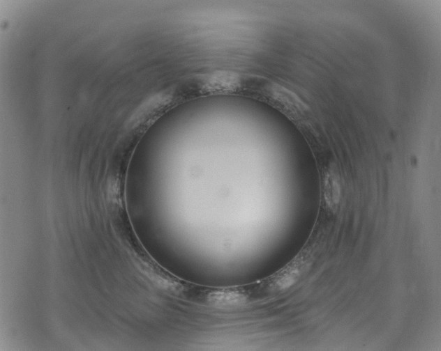 X0000074940714200609011116