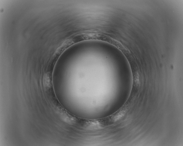 X0000074940715200609011115