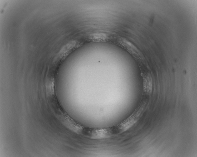 X0000074940717200609011115