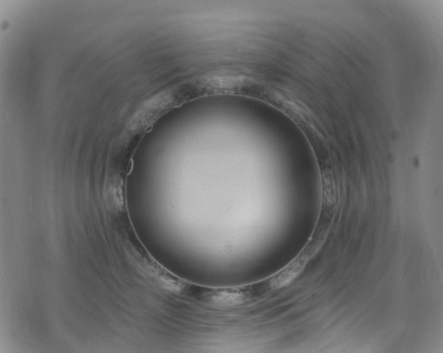 X0000074940718200609011115