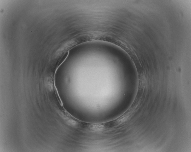 X0000074940719200609011115