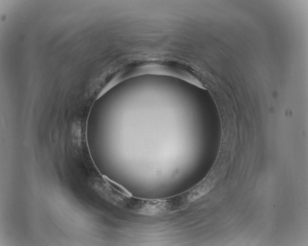 X0000074940720200609011115