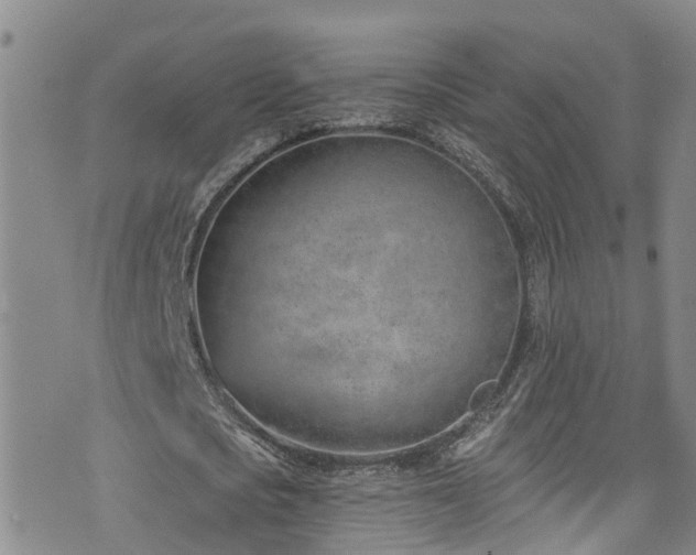 X0000074940721200609011115