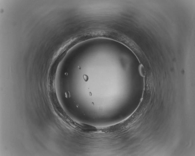 X0000074940722200609011115