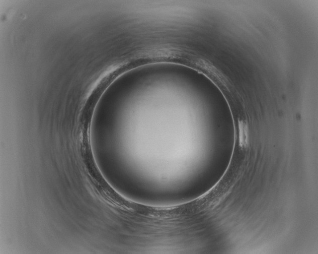 X0000074940723200609011115