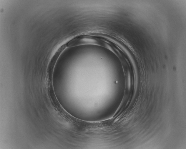 X0000074940724200609011115