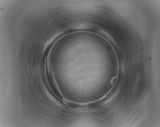 X0000074940725200609011115