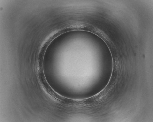 X0000074940726200609011115