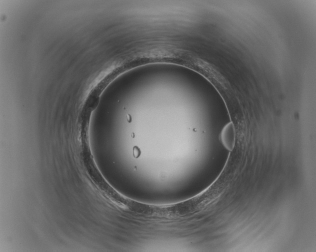 X0000074940727200609011115