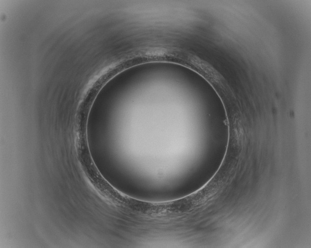 X0000074940728200609011115