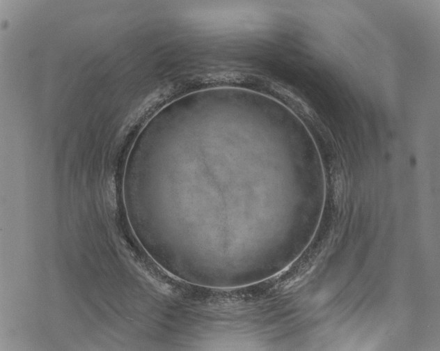 X0000074940729200609011115