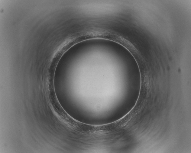 X0000074940730200609011115