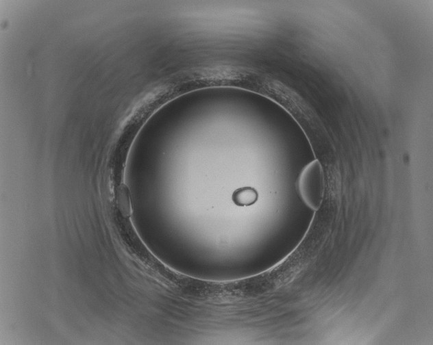 X0000074940731200609011115