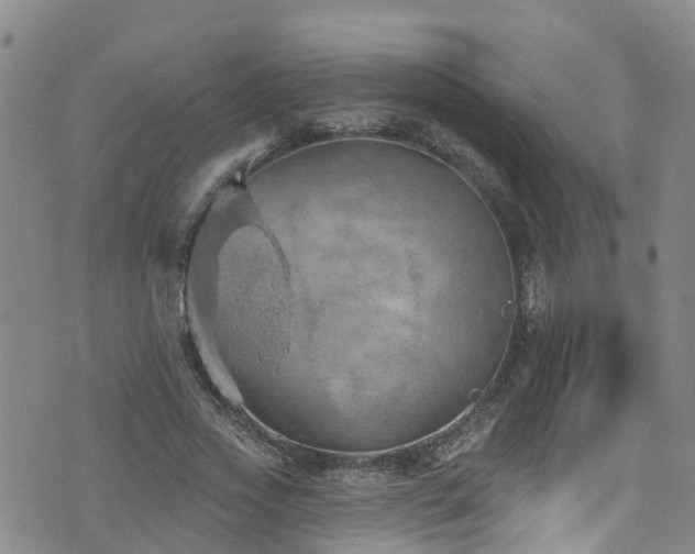 X0000074940733200609011115