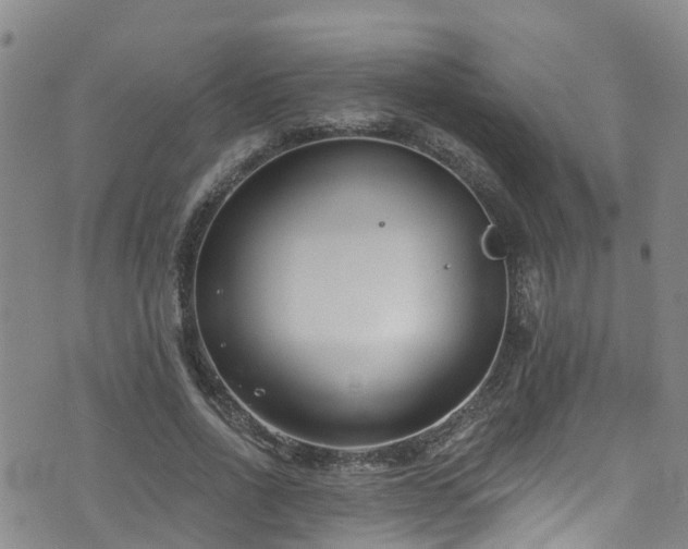 X0000074940734200609011115