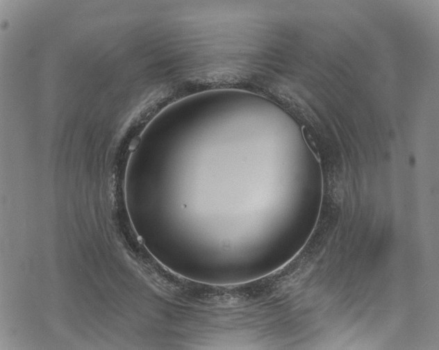 X0000074940735200609011115